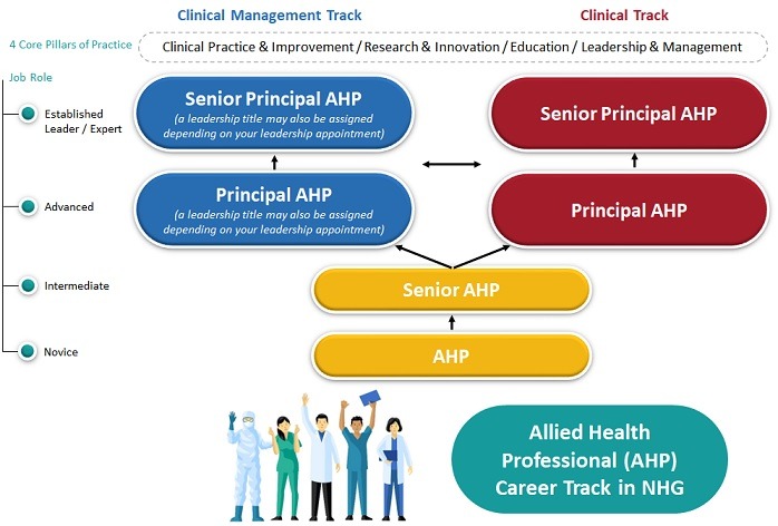 Your Allied Health Career Tracks in NHG