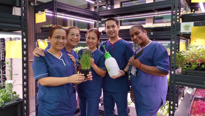 Staff Well-Being and Support